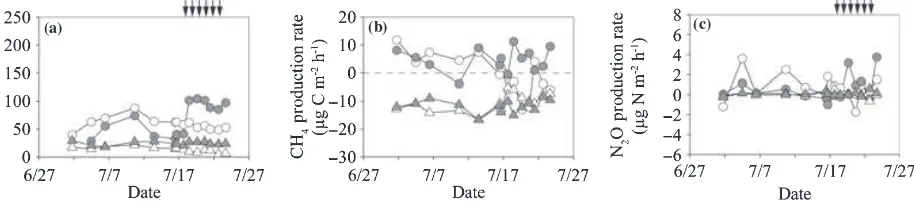Table 2).to 0.5 in the non-irrigated plot (Fig. 8c). Average N2O