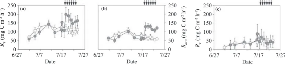 Figure 5 Temporal variation in (a) CO2 ﬂuxes from the surface of the O-layer (Rs), (b) microbial respiration from the surface of theO-layer (Rmw) and (c) root respiration (Rr)