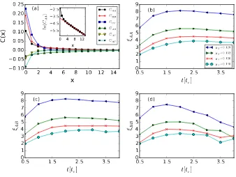 Figure 4: Time evolution for correlation lengths during Monte Carlo simulations of the two-