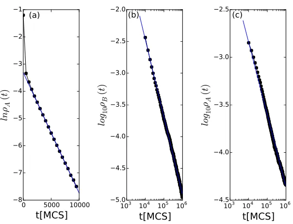 Figure 10: Monte Carlo simulations with direct predator competition: (a) Exponential decayof the predator population densityω ρA(t) with ωµA = 0.2, ωηA = 0.1, ωηB = 0.15, andµB = 0.1; the blue straight line is obtained from a linear regression of the data 