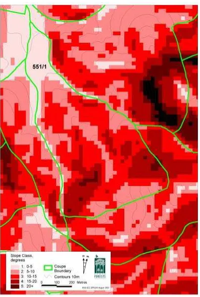 Figure 2. Topography of compartment 551, Coupe 1. 