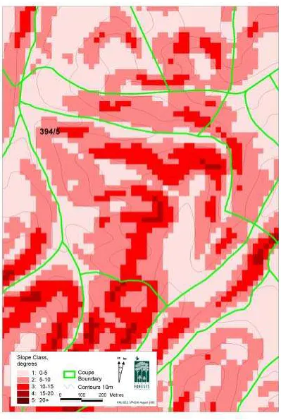 Figure 3. Topography of Compartment 394, Coupe 5. 