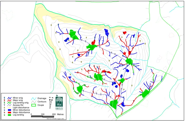 Figure 9. Plan view of arc feature rectangular sample plots. 