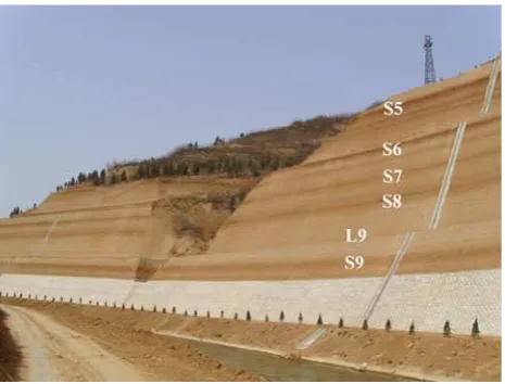 Fig. 2 The typical geological loess proﬁle of the Loess Plateau