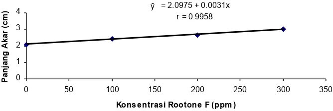 Gambar 4. Hubungan konsentrasi Rootone F dengan panjang akar bibittanaman kamboja jepang