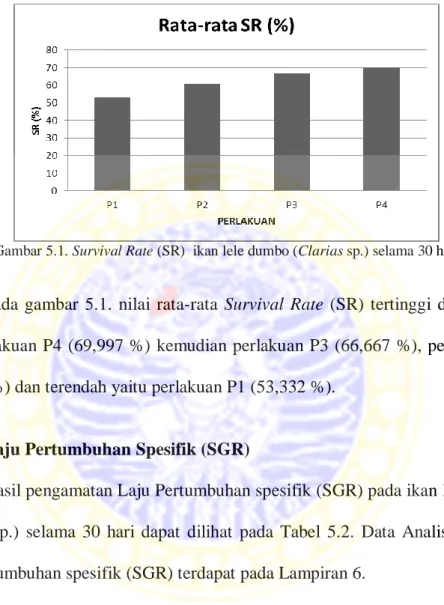 Gambar 5.1. Survival Rate (SR)  ikan lele dumbo (Clarias sp.) selama 30 hari 