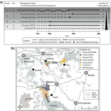 Fig. 1. (a) Overview of the investigation sites with their present and historical forest management types, the time of management changes and the number of observationsand (b) Overview of the location of the study sites within the Hainich-Dün region.