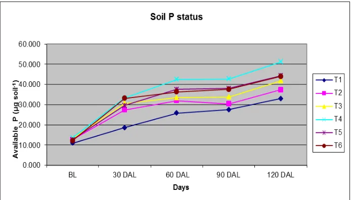 Figure 4: Soil P status before liming and at different days after liming. 