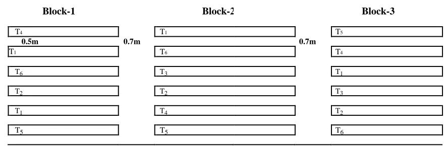 Figure 1. Layout of the experimental plot. 