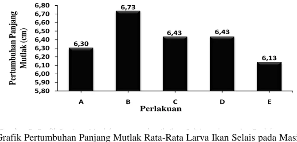 Gambar 5. Grafik Pertumbuhan Panjang Mutlak Rata-Rata Larva Ikan Selais pada Masing-masing  Perlakuan