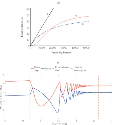 Figure 1.  Ferret predator response functions (a) and example population dynamics for a 