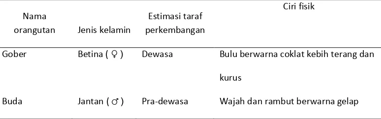 Tabel 7  Karakteristik orangutan (P. abelii) jantan dan betina 