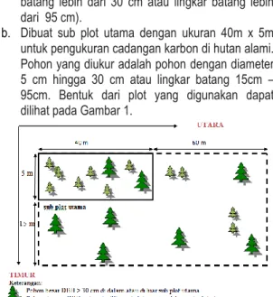 Gambar 1. Plot pengambilan sampel 