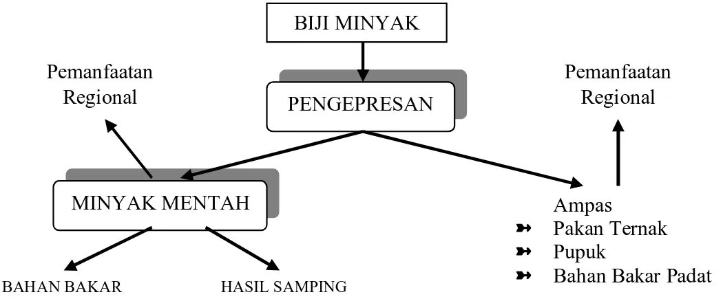 Gambar 2. Pengepresan minyak, produk, hasil samping dan penggunaannya.