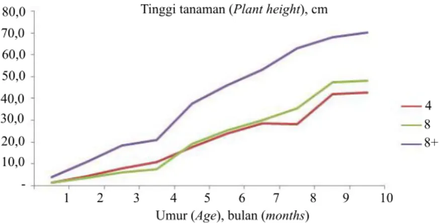 Gambar 3.   Rerata tinggi tanaman pada umur 1-10 BSP pada perlakuan batang bawah (The  average of plant height at 1-10 MAG on rootstocks treatment)