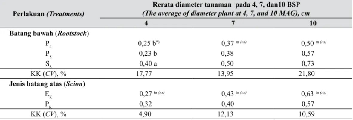 Tabel 8.   Rerata diameter tanaman sambungan pada 4, 7, dan10 BSP (The average of diameter  grafted plant at 4, 7, and 10 MAG)