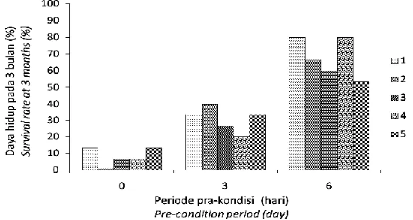 Gambar  5. Pengaruh  periode  pra-kondisi dan penyungkupan  terhadap  induksi  akar  planlet  karet  setelah  1,5  bulan