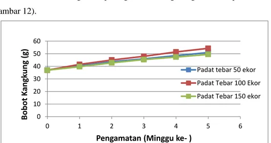 Gambar 12. Grafik Rata-rata Bobot Kangkung Air Selama  Penelitian  