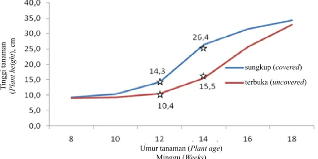 Tabel 7.  Rerata tinggi tanaman pada umur 8–18 minggu setelah regrafting (The average of plant height at  8–18 weeks after regrafted)