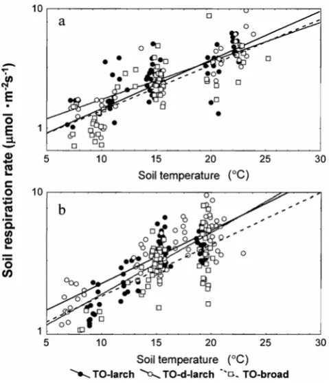 Fig. 6. Seasonal change of C/N ratio in TE-larch (●) and TO-larch (○). Vertical bars represent ± SE of the means