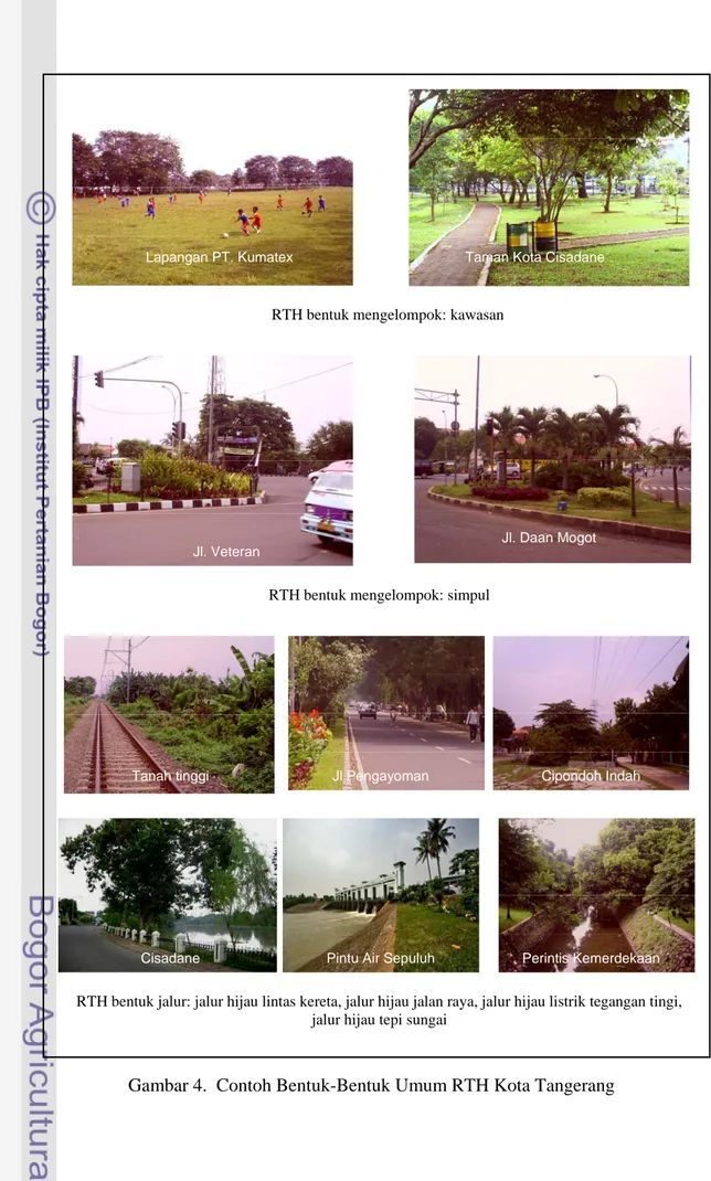 Gambar 4.  Contoh Bentuk-Bentuk Umum RTH Kota Tangerang 