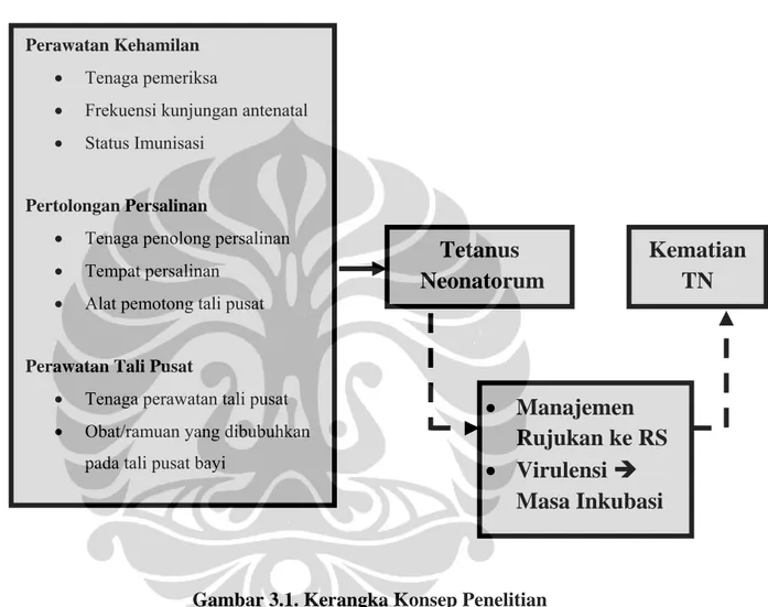 Gambar 3.1. Kerangka Konsep Penelitian Perawatan Kehamilan 