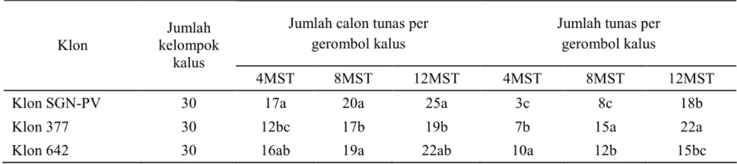 Tabel 5.   Daya regenerasi kalus 3 klon Phalaenopsis pada media MR  Jumlah calon tunas per 