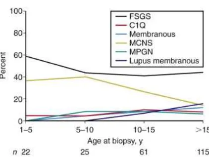 Gambar 2.1 - Hasil biopsi ginjal dari 223 anak-anak dengan proteinuria dirujuk untuk biopsi ginjal diagnostik (Glomerular Disease Collaborative Network, J