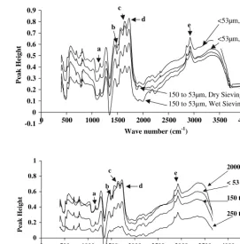 Fig. 3 Difractions, low intensity, 5–10 cm depth) for a sandy Spodosol in north Florida