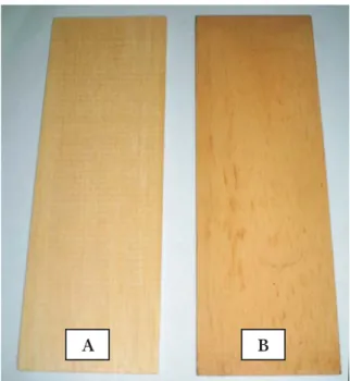 Gambar 2. Perbedaan warna kayu labu sebelum (A) dan sesudah perlakuan (B)
