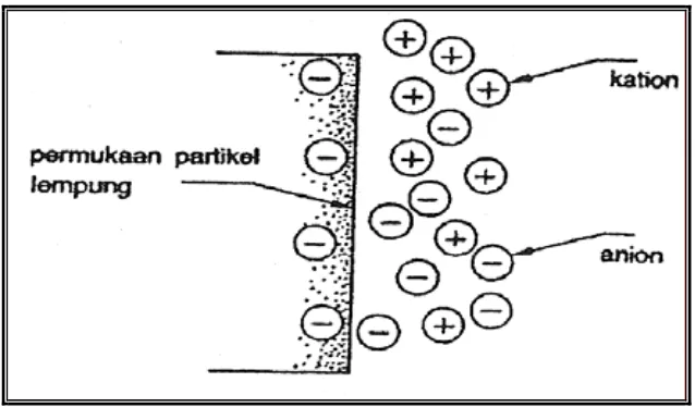 Gambar 1. Peristiwa Kapiler (Interaksi Antara Partikel Lempung dan Air) 