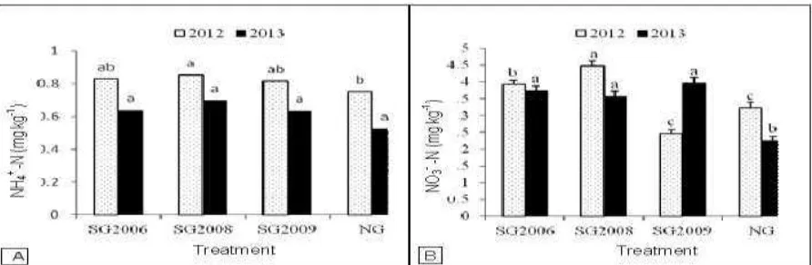 Fig. 4. Dynamics of soil ammonium nitrogen (NH4+-N) (A) and nitrate nitrogen (NO3--N) (B) under switchgrass planted in 2006 (SG2006), 2008 (SG2008) and 2009 (SG2009) and under native grasses (NG) during the 2012 and 2013 growing seasons