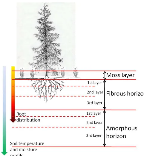Figure 1. Schematic representation of the soil decompositionmodel.