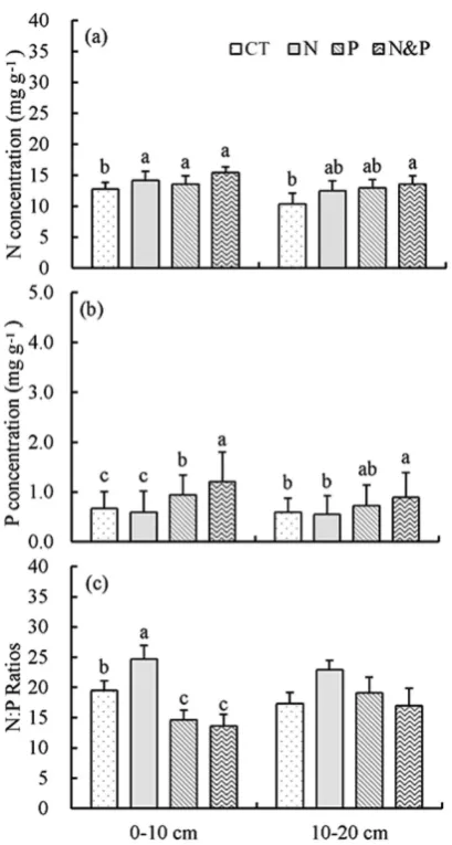 Figure 4. Nitrogen and P concentrations and N:P ratios of mixed ine roots of seven tree species exposed to N and P addition