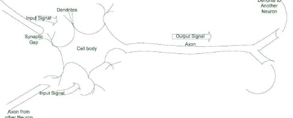 Figure 1: A simple structure of biological nerve cell. The cell body of the nerve cell housed thenucleus that stores hereditary traits