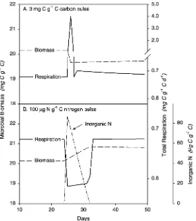 Fig. 9. Effect of C and N pulses on microbial biomass and respiration in the linked C and N model