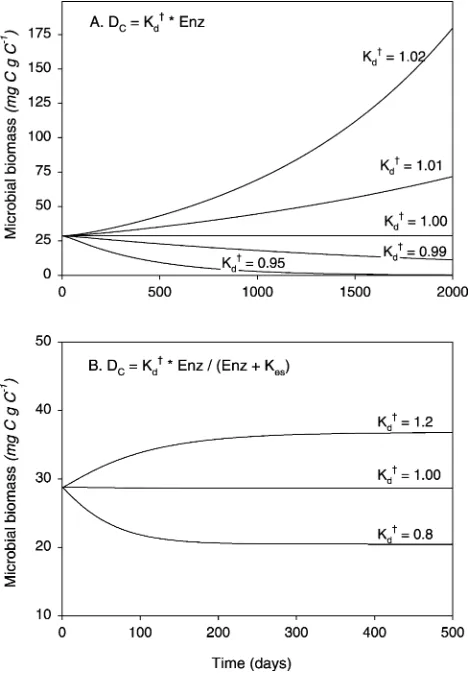 Fig. 3. Stability of the C-only model. (A) Behavior of the model whendecomposition is a ﬁrst order function of exoenzyme concentration