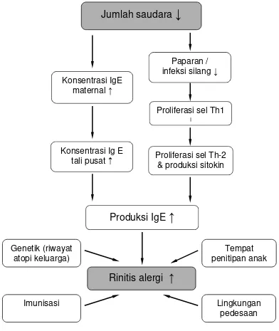 Gambar 2.1. Kerangka konseptual