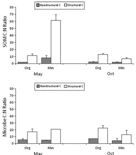 Figure 4. C:N ratio of soil organic matter and microbialbiomass derived from decaying sugar maple litter in or-ganic and surface mineral soil in May 2008 and October2008