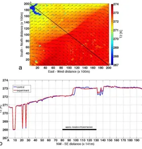Figure 6. Surface temperature at the time of cold front passage (1515 UTC, 0915 LST) on 19 Febru-