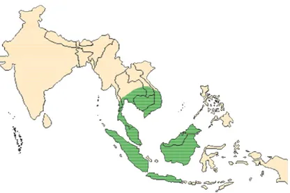 Gambar 2  Penyebaran kancil di Indonesia dan beberapa negara tetangga (    )  (Robin 1990 diacu dalam Huffman 2004) 