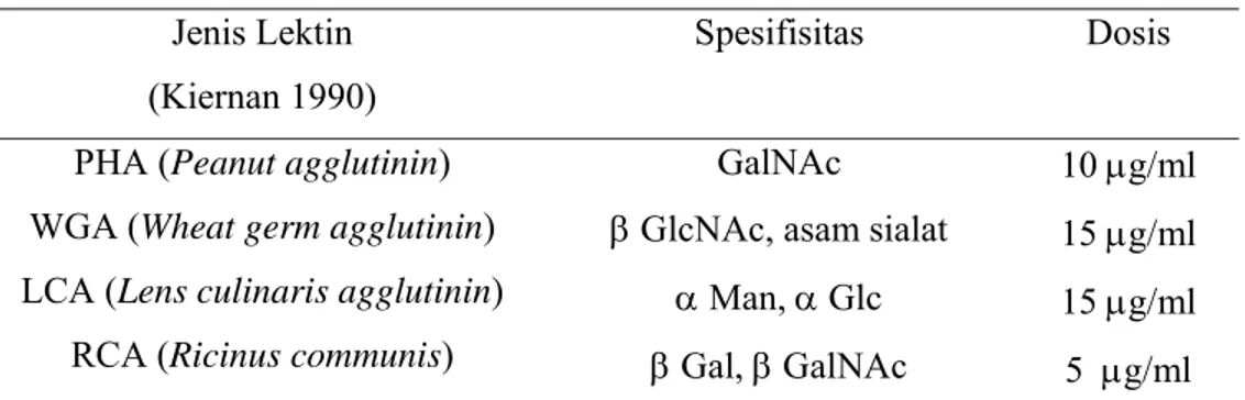 Tabel 1 Jenis, spesifisitas dan dosis lektin yang digunakan  Jenis Lektin  