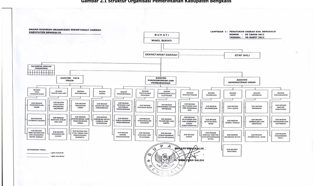 Gambar 2.1 Struktur Organisasi Pemerintahan Kabupaten Bengkalis 