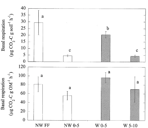 Fig. 3. Basal respiration in worm and no-worm soils in three sites, July2000. Bars are standard errors of the mean, n ¼ 12