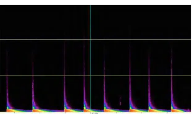 Figure 3: Spectrogram of a gedombak  Digital recording
