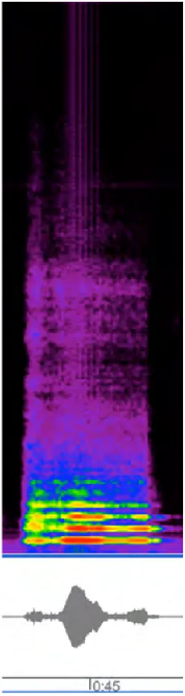 Figure 11: tajwid - deil - flute spectrogram (from eAnalysis) In this figure, the ‘d’ gives a hard, quite  quick attack after which  the note tapers off in the voiced vowel, and quickly decays as the ‘l’ sound is  made