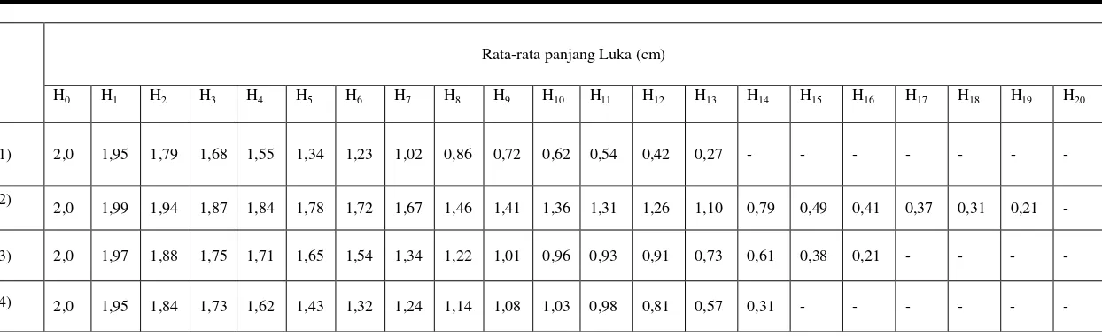 Tabel 4.3  Data Hasil Rata-Rata Pengukuran Panjang Luka pada Kelinci 