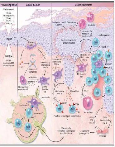 Gambar 2.1.  :  Pengaruh faktor imunologi terhadap Psoriasis vulgaris. Sumber  : Nestle, F.O., Kaplan, D.H., Barker, J., 2009
