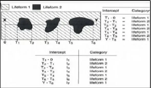 Gambar 5. Diagram Sistematik Dari Transek (XY) Menunjukan Peralihan Nilai  Dari Setiap Lifeform yang dilalui Oleh Garis Transek 