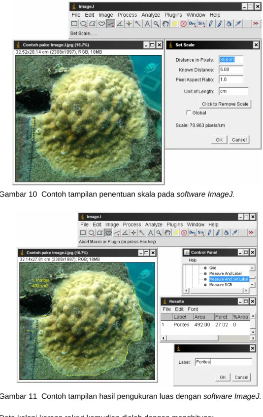 Gambar 11  Contoh tampilan hasil pengukuran luas dengan software ImageJ. 